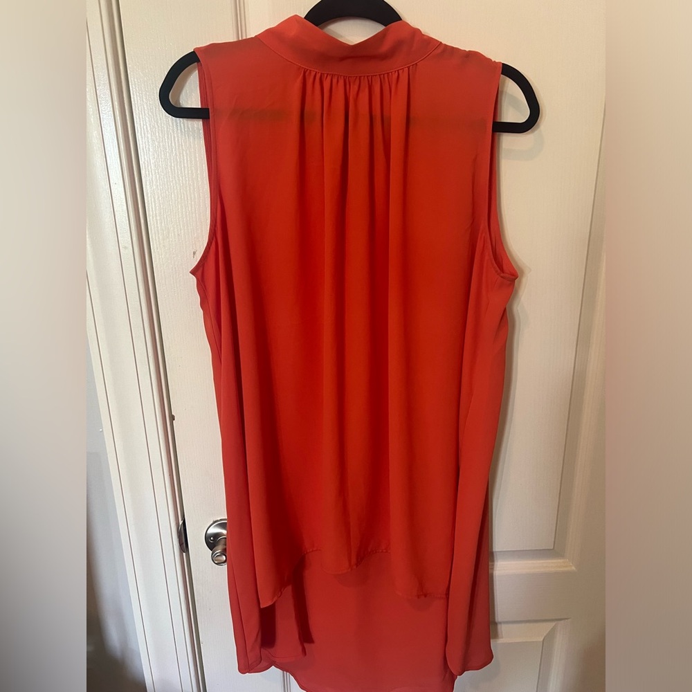 Sheer tunic